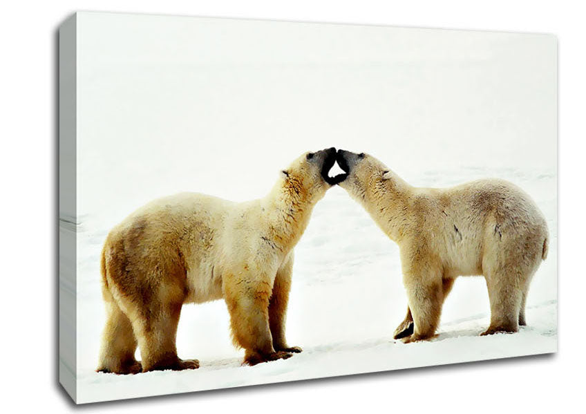 Polar Bear Love Canvas Wall Art
