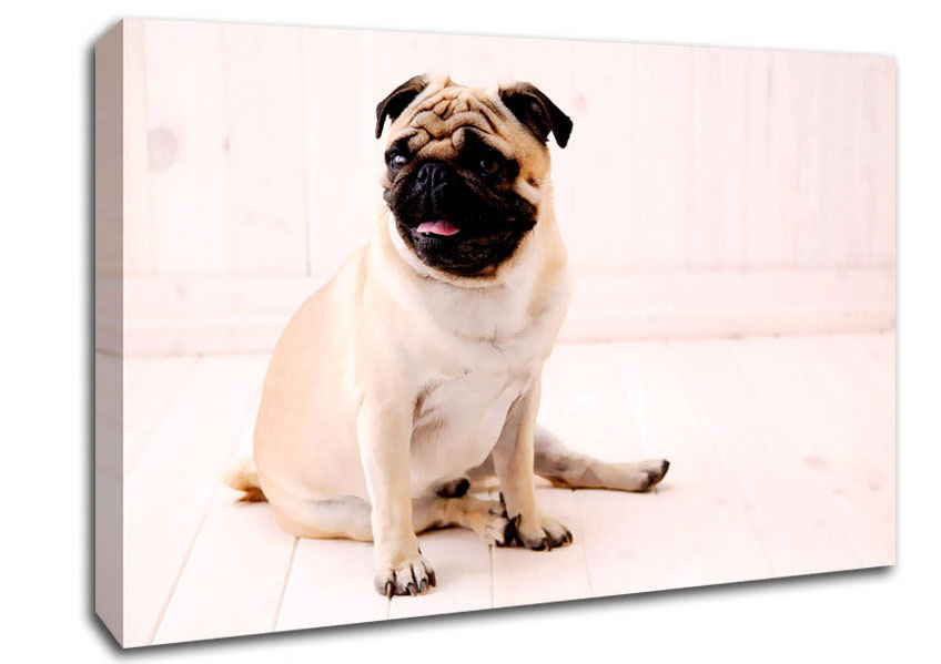 Pug Dog Canvas Wall Art