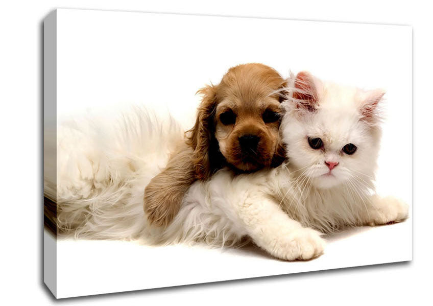 Puppy And Kitten Love Canvas Wall Art