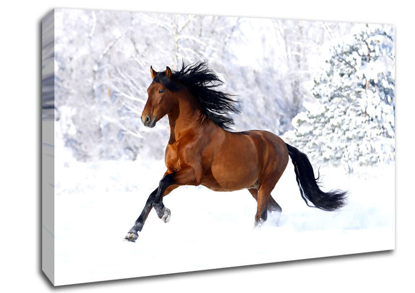 Racing Horse Canvas Wall Art