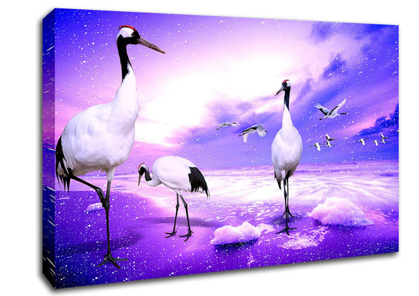 Red Crowned Cranes Japan Canvas Wall Art