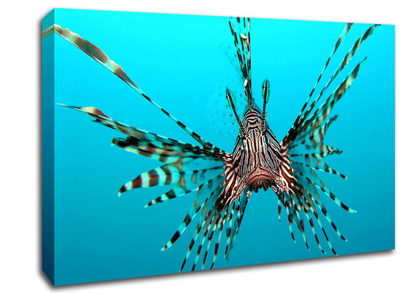 Red Lionfish Canvas Wall Art