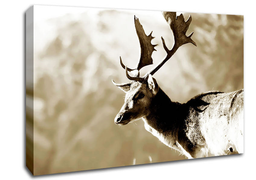 Reindeer Canvas Wall Art