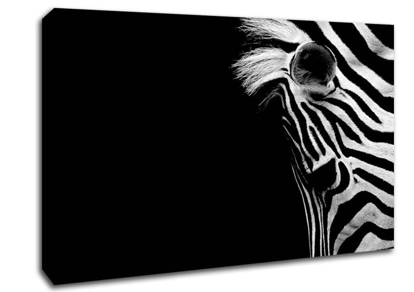 Sad Zebra Canvas Wall Art