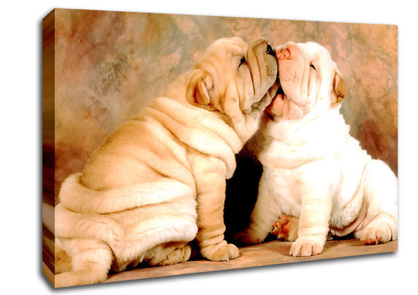 Shar Pei Puppies Canvas Wall Art
