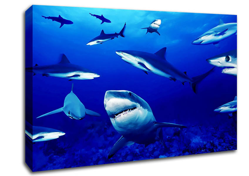 Sharks Ocean Canvas Wall Art