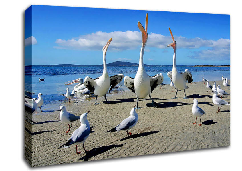 Singing Seagulls Canvas Wall Art