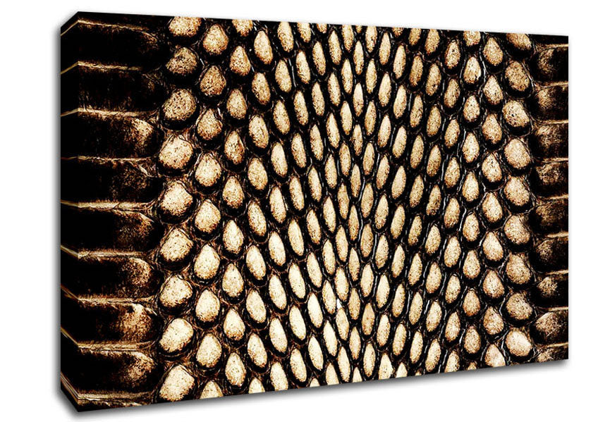 Snake Scales Canvas Wall Art