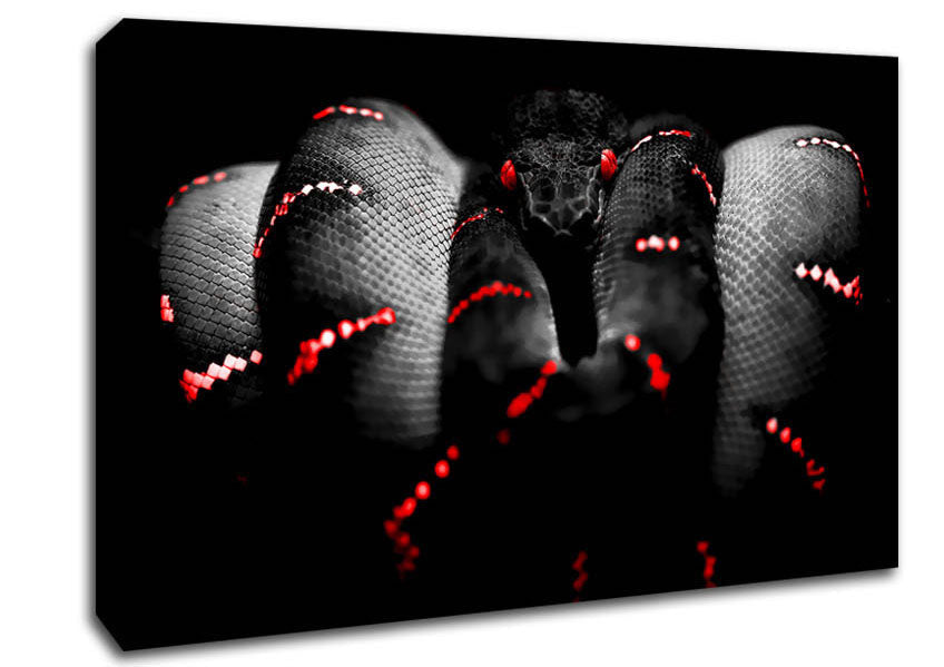 Snake Venom Canvas Wall Art