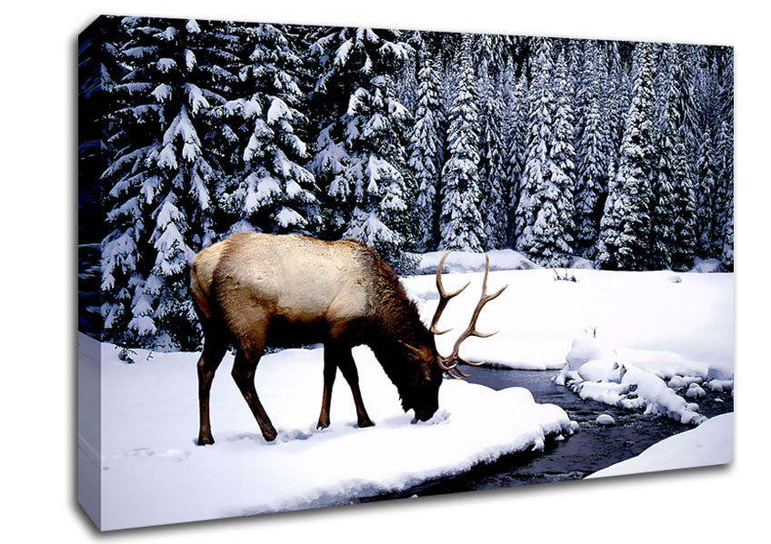 Stag In Winter Canvas Wall Art