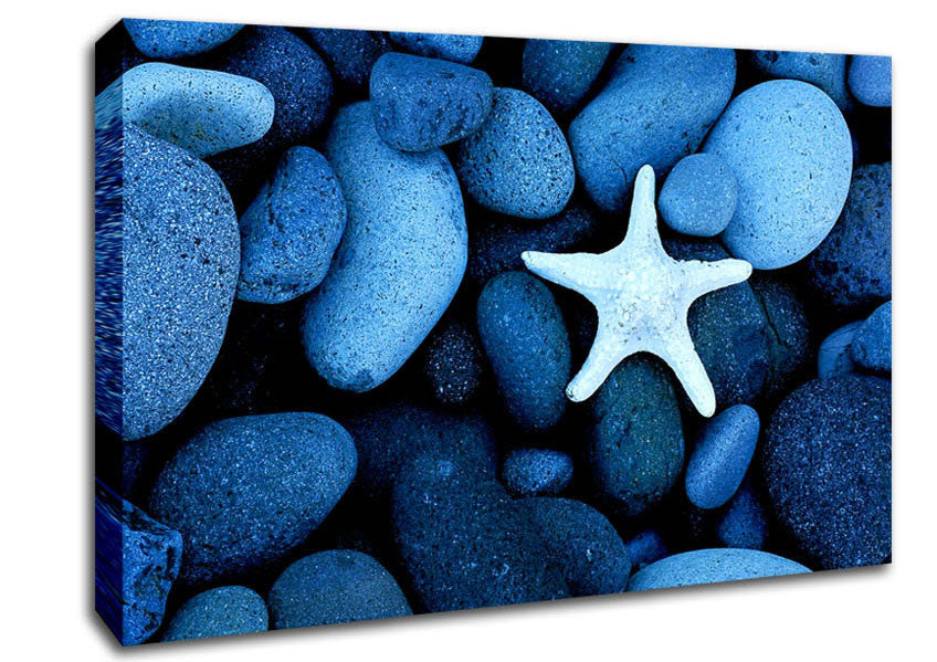 Star Fish Rocks Canvas Wall Art