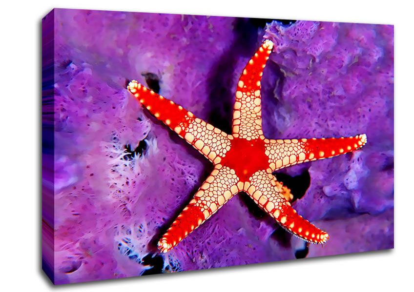 Starfish On Purple Canvas Wall Art