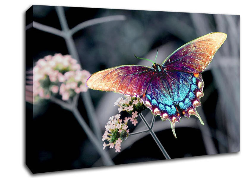 Stunning Butterfly Wings Canvas Wall Art