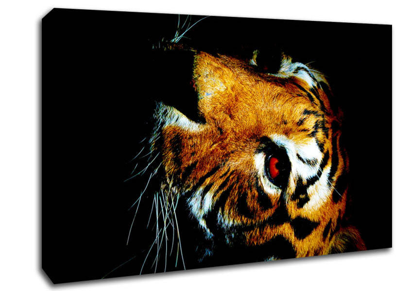 Tiger Beauty Canvas Wall Art