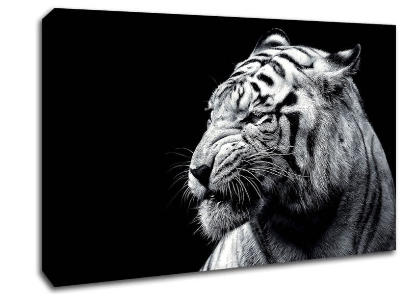 Tiger Black And White 2 Canvas Wall Art