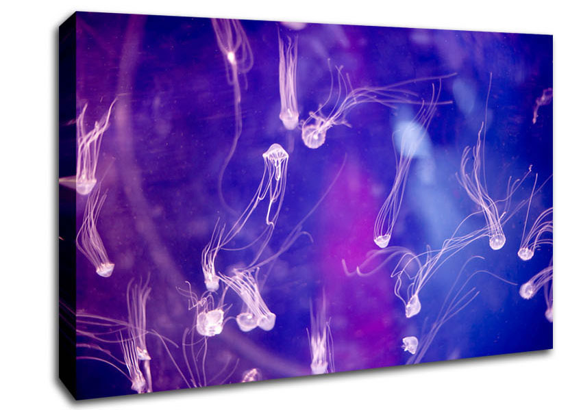 Tiny Jellyfish Canvas Wall Art