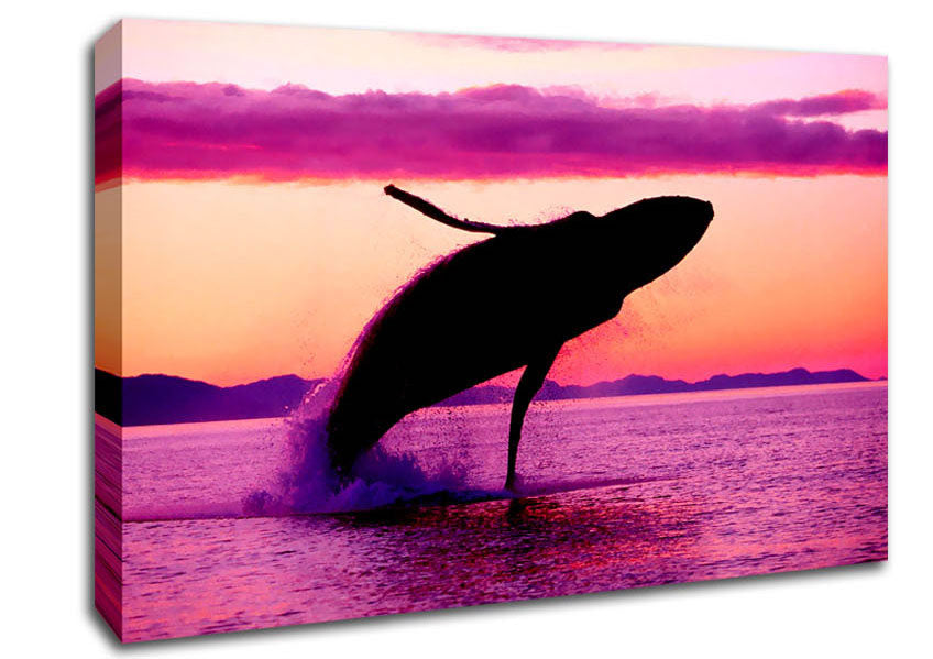 Whale Fun Canvas Wall Art