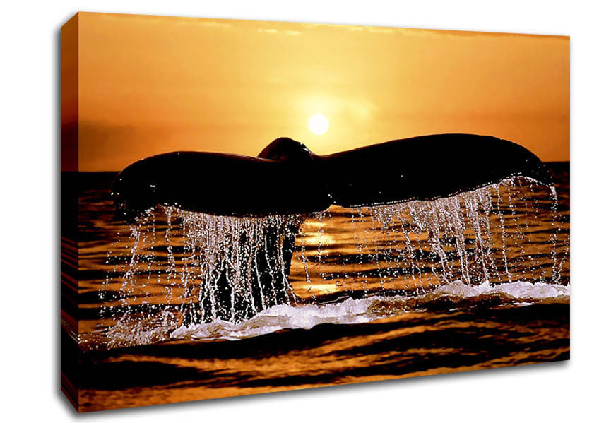 Whale Tale Canvas Wall Art