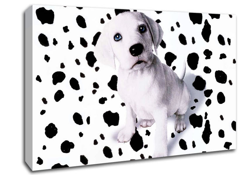 Wheres My Spots Dalmatian Canvas Wall Art