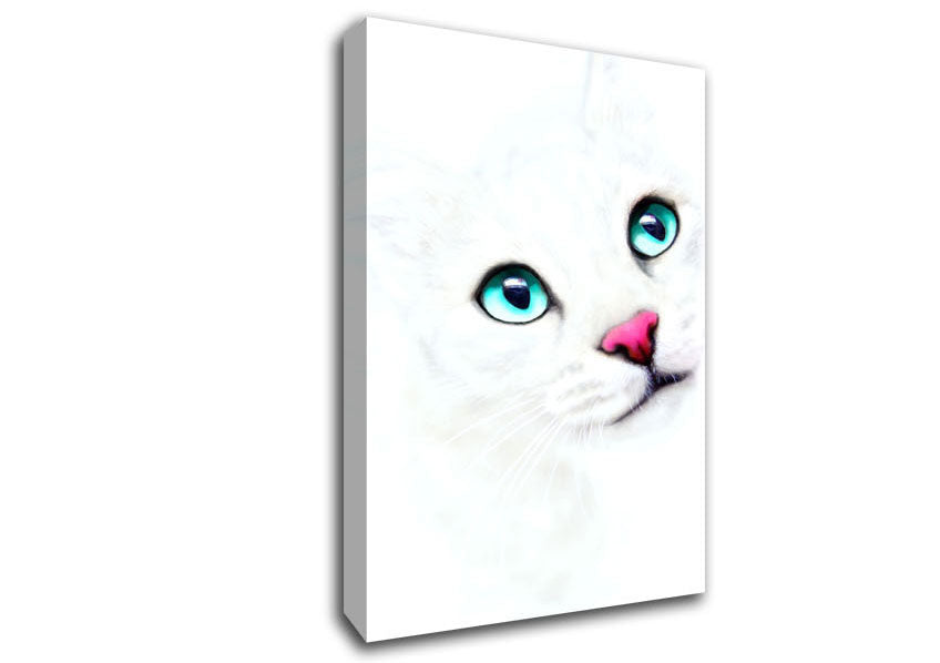 White Cat Blue Eyes Canvas Wall Art