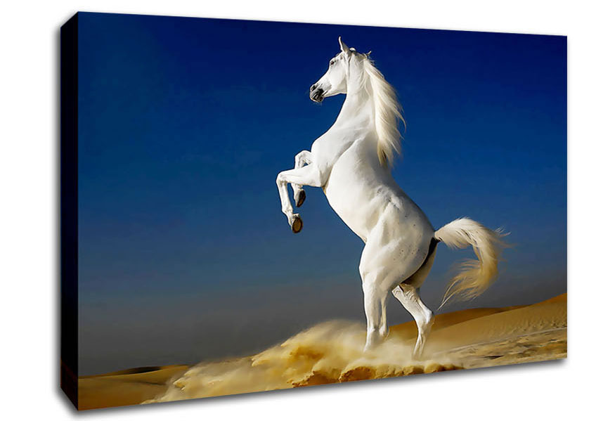 White Horse Stance Canvas Wall Art
