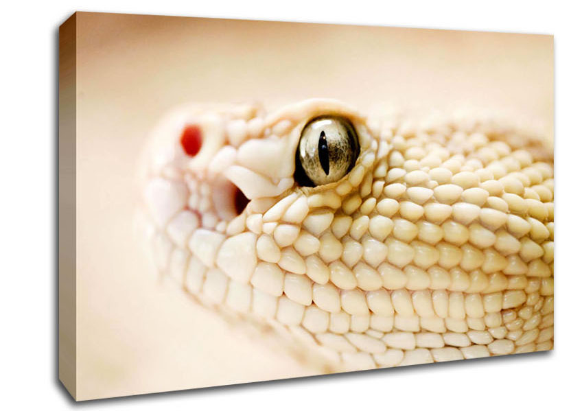 White Snake Canvas Wall Art