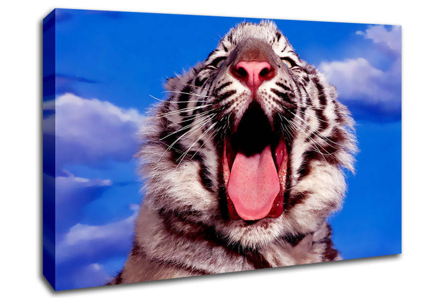 White Tiger Yawn Canvas Wall Art