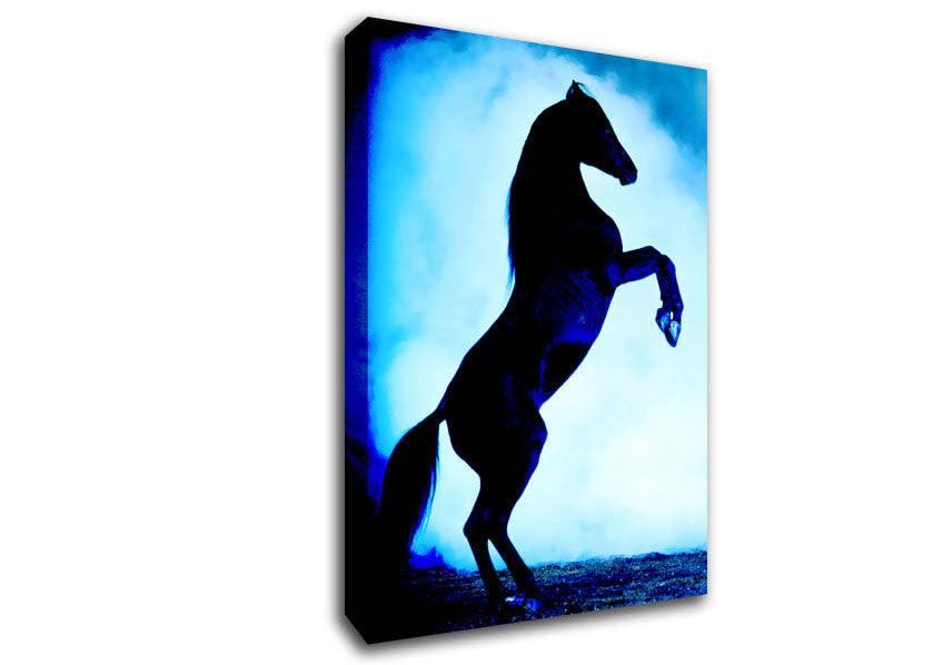 Wild Stallion In The Moonlight Canvas Wall Art
