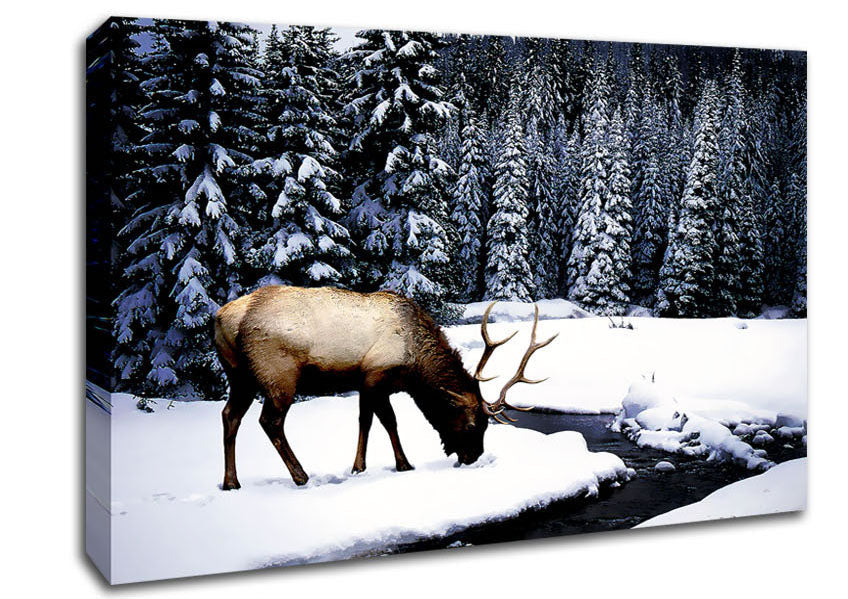Winter Deer Canvas Wall Art