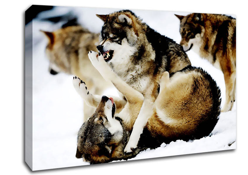 Wolf Pack Canvas Wall Art