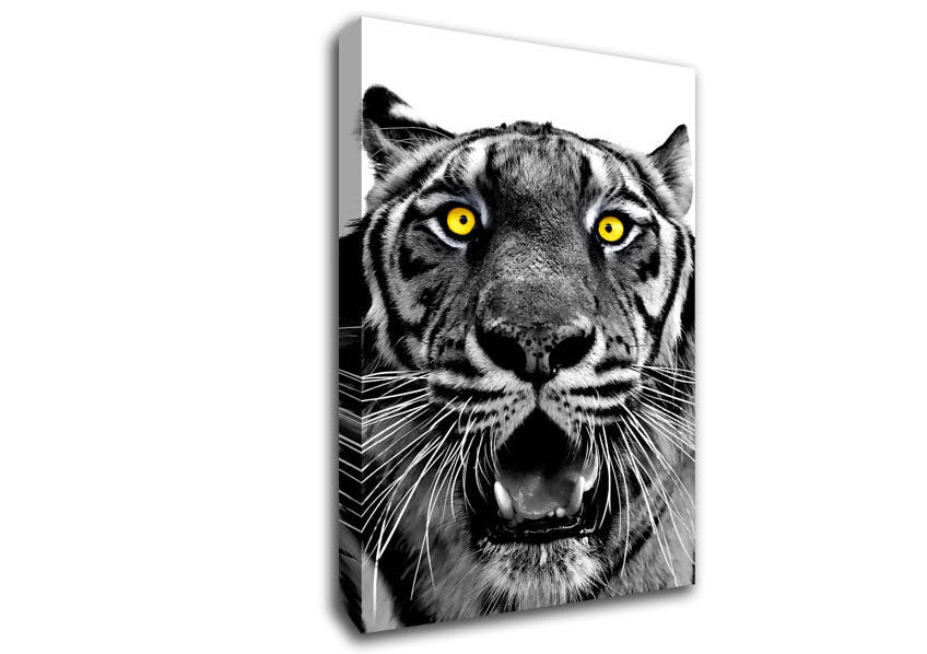 Yellow Tiger Eyes Canvas Wall Art