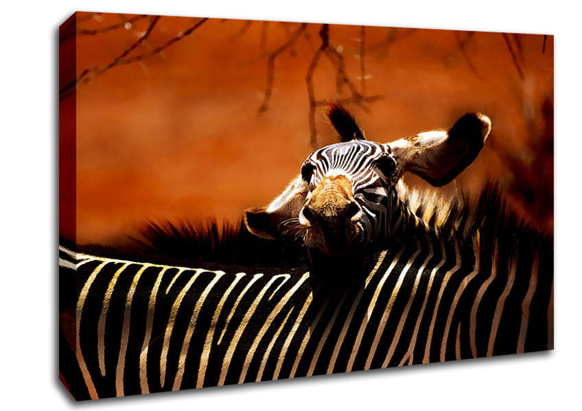 Zebra Family Love Canvas Wall Art