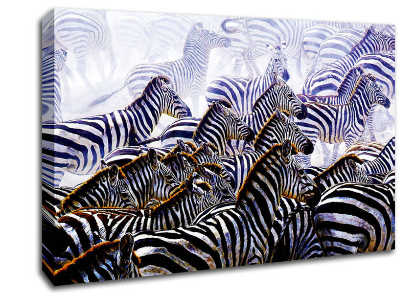 Zebra Stampede Canvas Wall Art