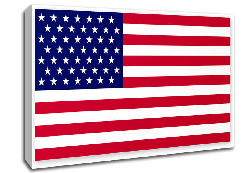 American Star Canvas Wall Art