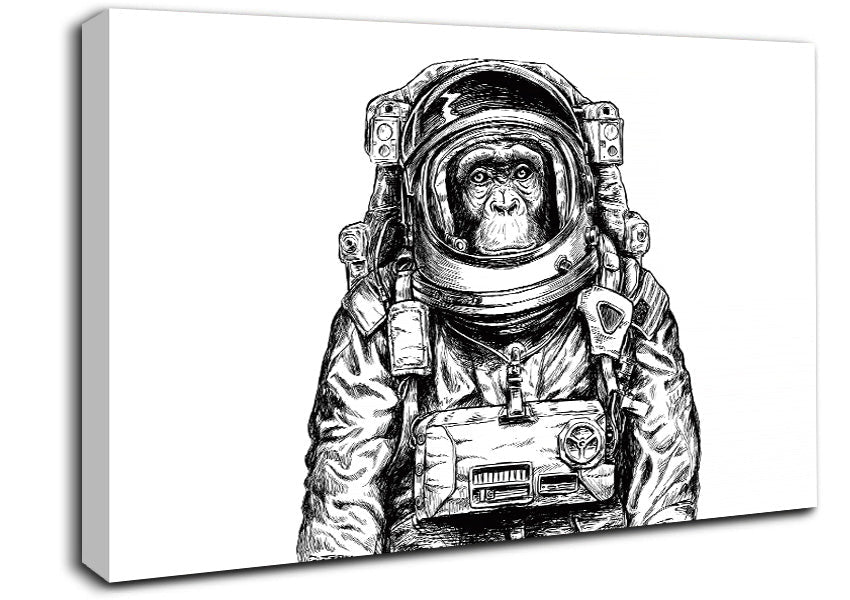 Space Monkey Canvas Wall Art
