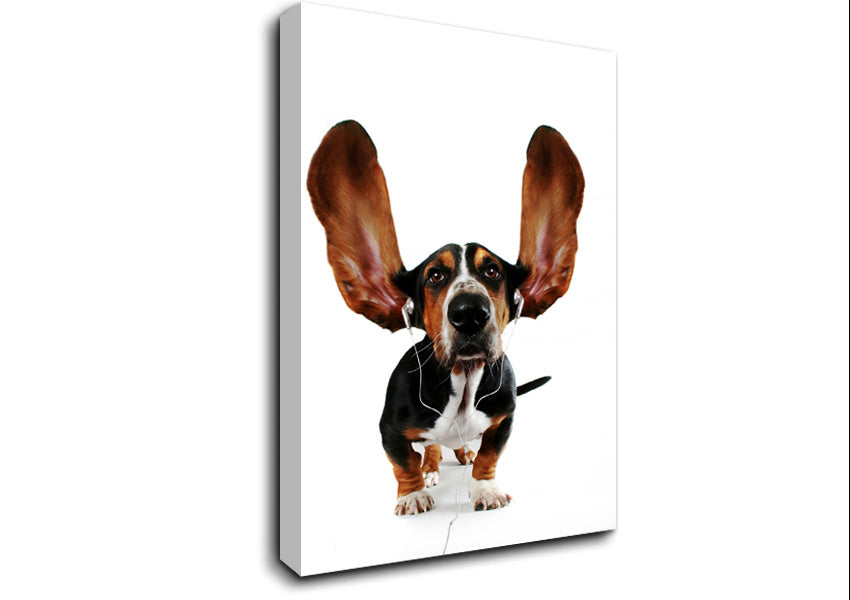 Basset Hound Music Canvas Wall Art