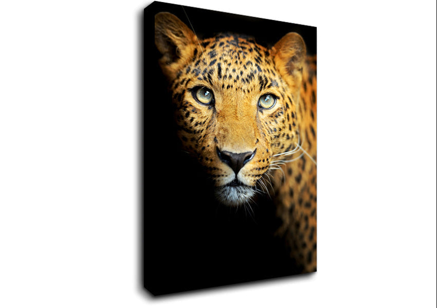 Leopard Beauty Canvas Wall Art
