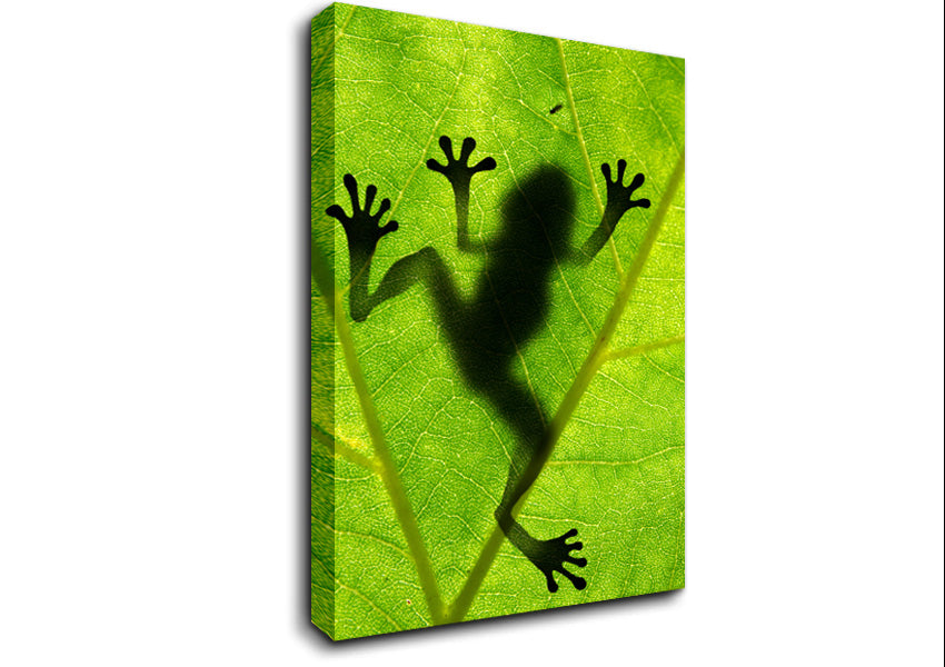 Frog Shadow Canvas Wall Art