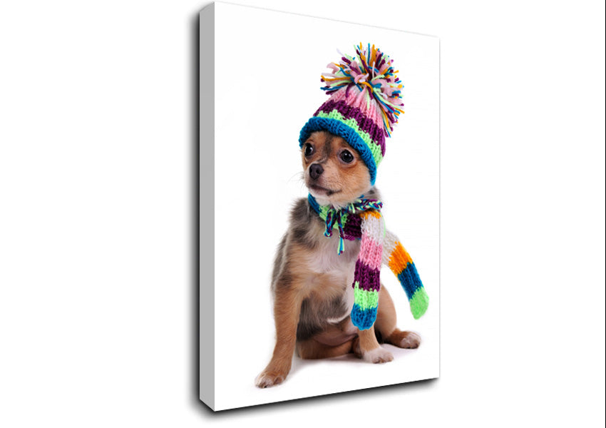 Chihuahua Dog Dressed For Winter Canvas Wall Art