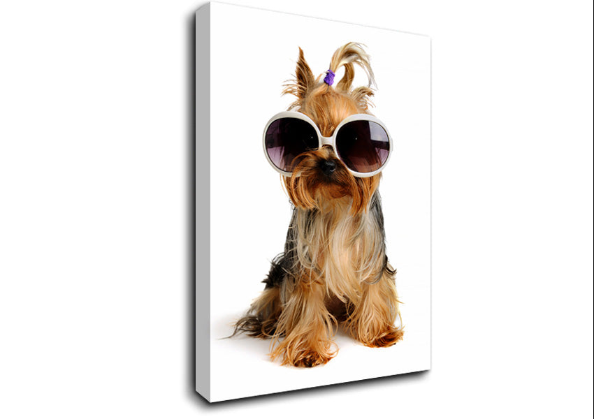 Yorkshire Terrier Dog Glamour Canvas Wall Art