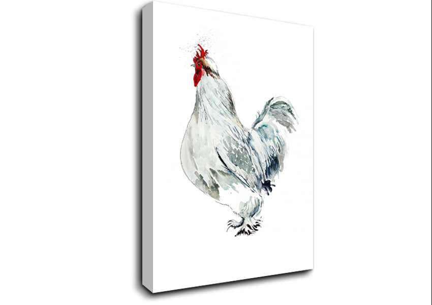 White Hen Canvas Wall Art