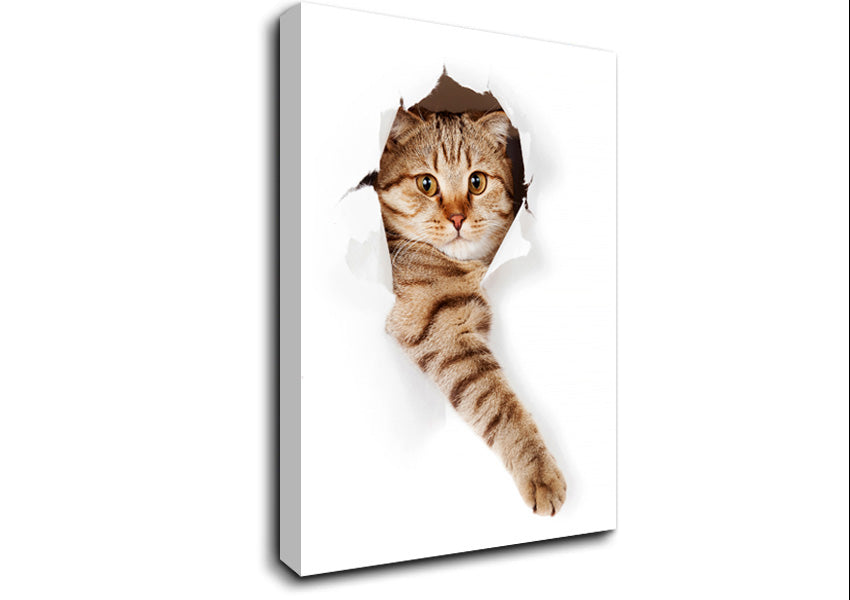 Cat Attack Canvas Wall Art
