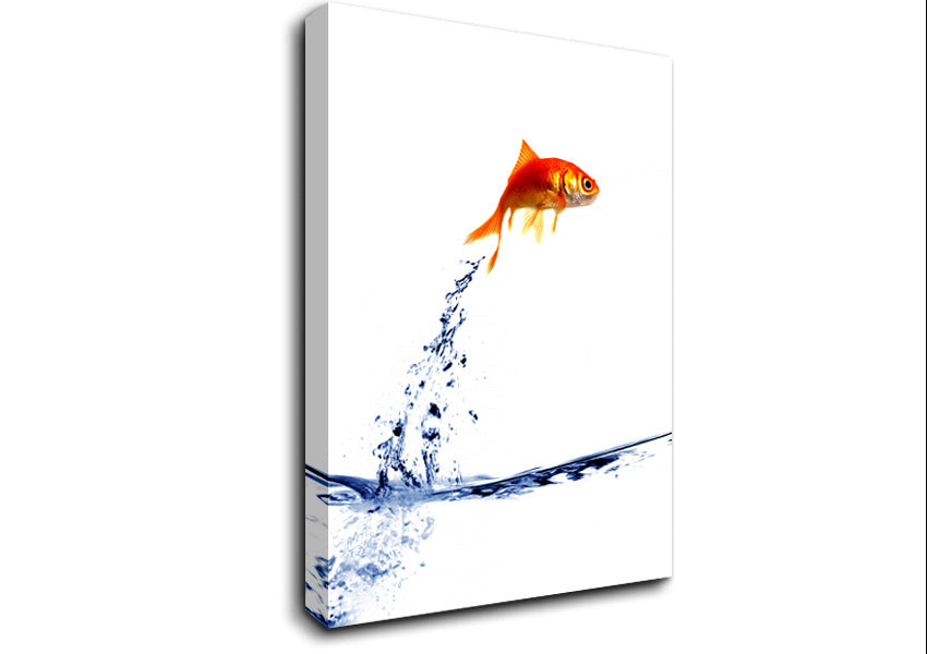 Jumping Goldfish Canvas Wall Art