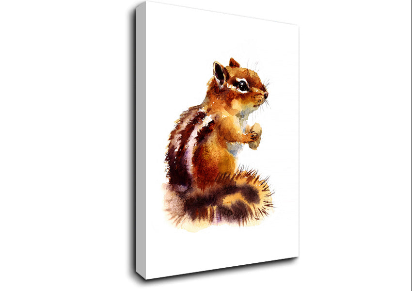 Squirrel Nuts Canvas Wall Art