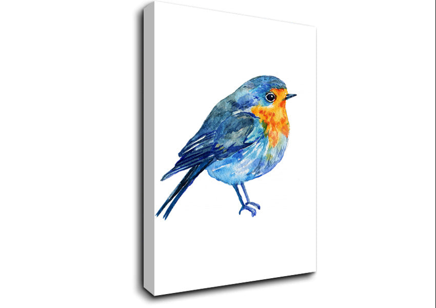 Robin Canvas Wall Art