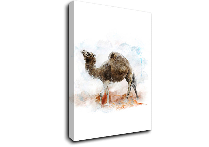 Camel Trek Canvas Wall Art