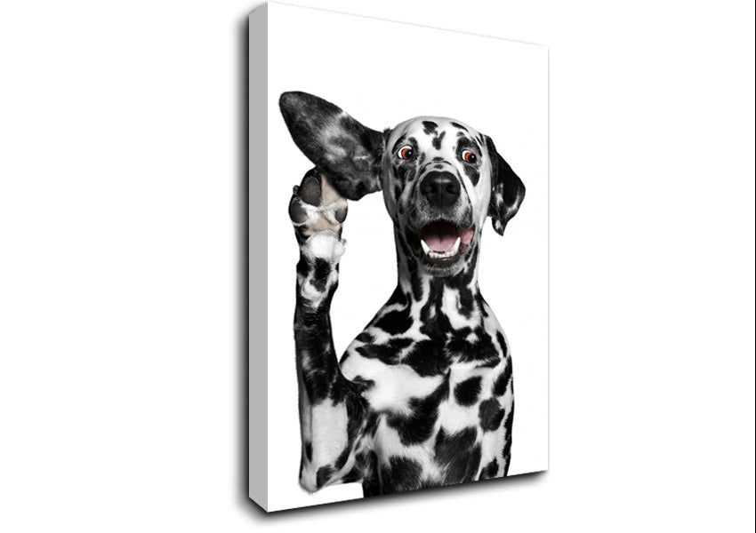 Dalmation Dog High Five Canvas Wall Art