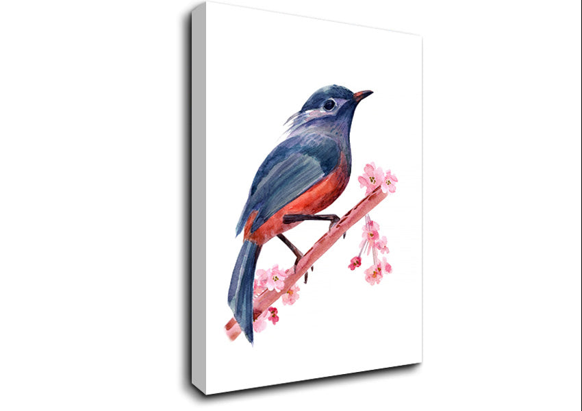 Chaffinch Bird Cherry Blossom Canvas Wall Art