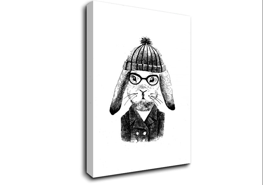 Clever Bunny Canvas Wall Art