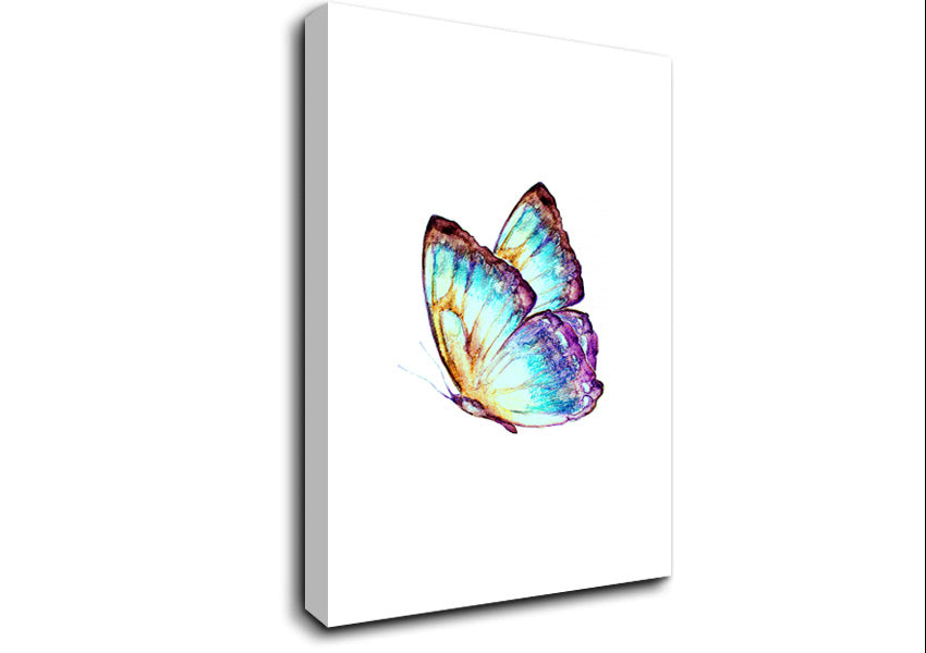 Stunning Butterfly Wings Canvas Wall Art